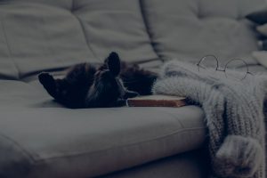 Lazy cat lying by warm woolen sweater and book on gray sofa
