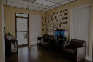 beautiful wall frames in Living room