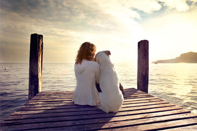 dog rests gently on women shoulder while looking view